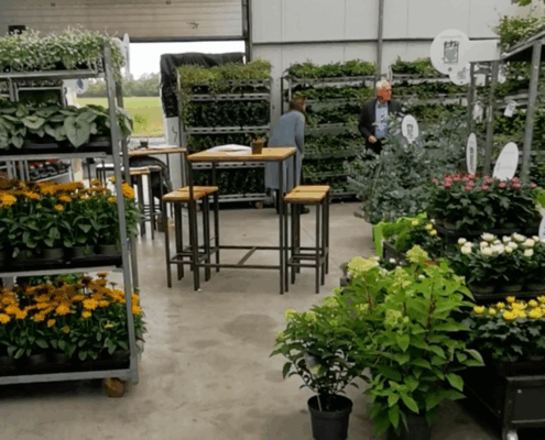 PlusPlants_03
