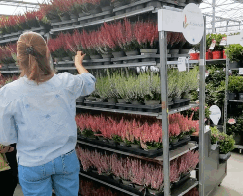 PlusPlants_05